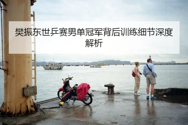 樊振东世乒赛男单冠军背后训练细节深度解析